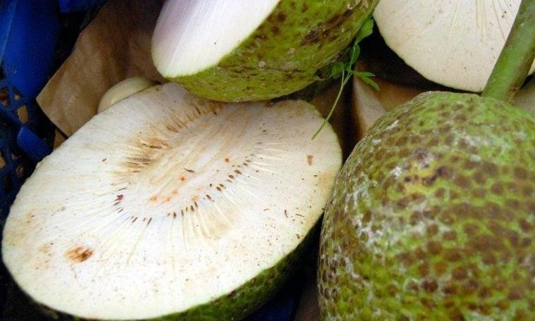 DERGİ - Ekmek ağacı meyvesi: Adalardaki 'süper besin'