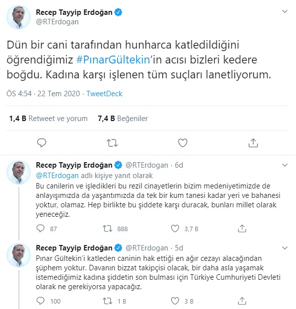 Cumhurbaşkanı Erdoğan'dan Pınar Gültekin açıklaması