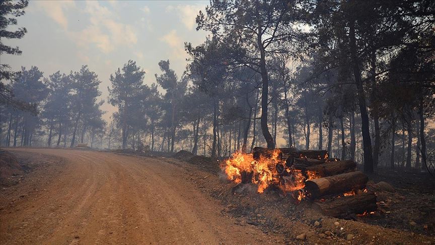 Çanakkale'nin Eceabat ilçesinde orman yangını