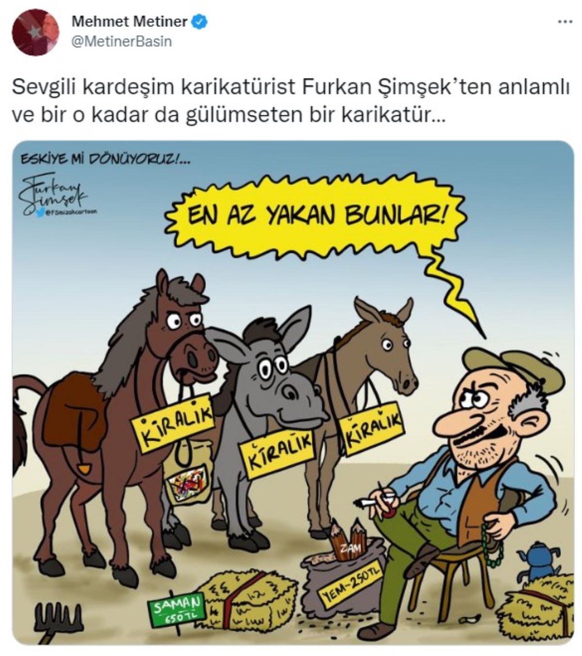Mehmet Metiner'den AKP'ye karikatürlü tepki