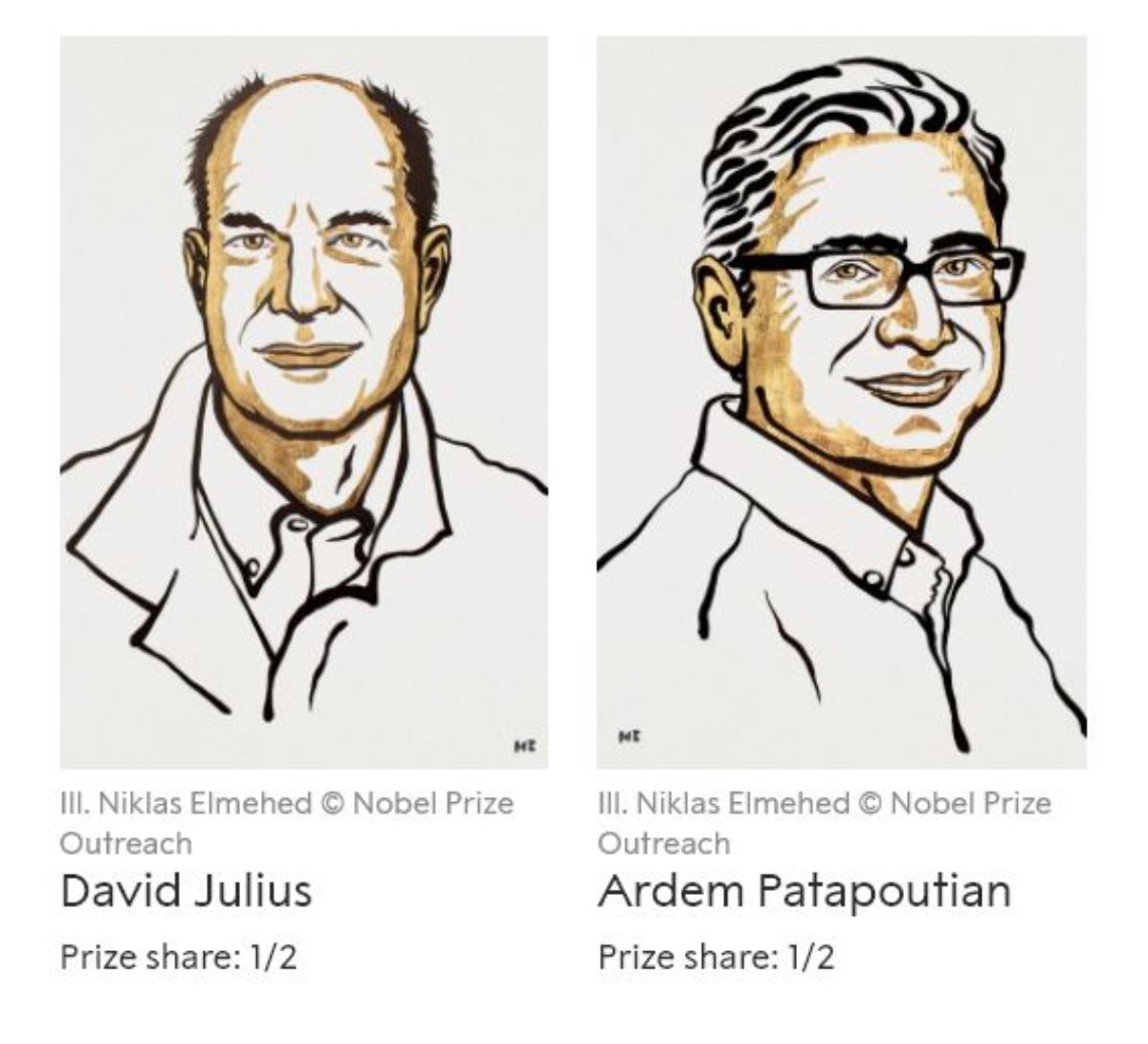 Son Dakika... Nobel Tıp Ödülü açıklandı