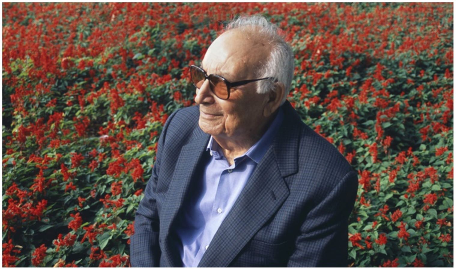 Türkçenin rüzgar tanrısı: Yaşar Kemal 98 yaşında