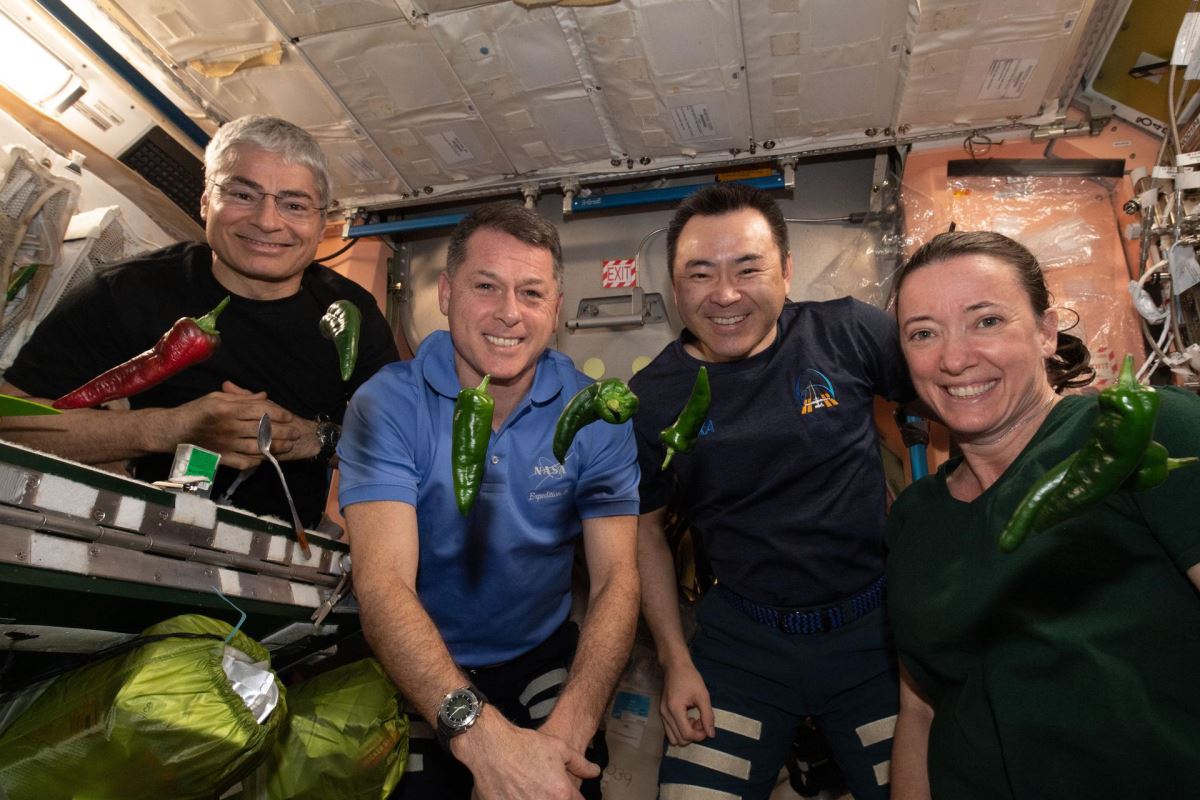 NASA'dan uzayda 'biberli' iki dünya rekoru