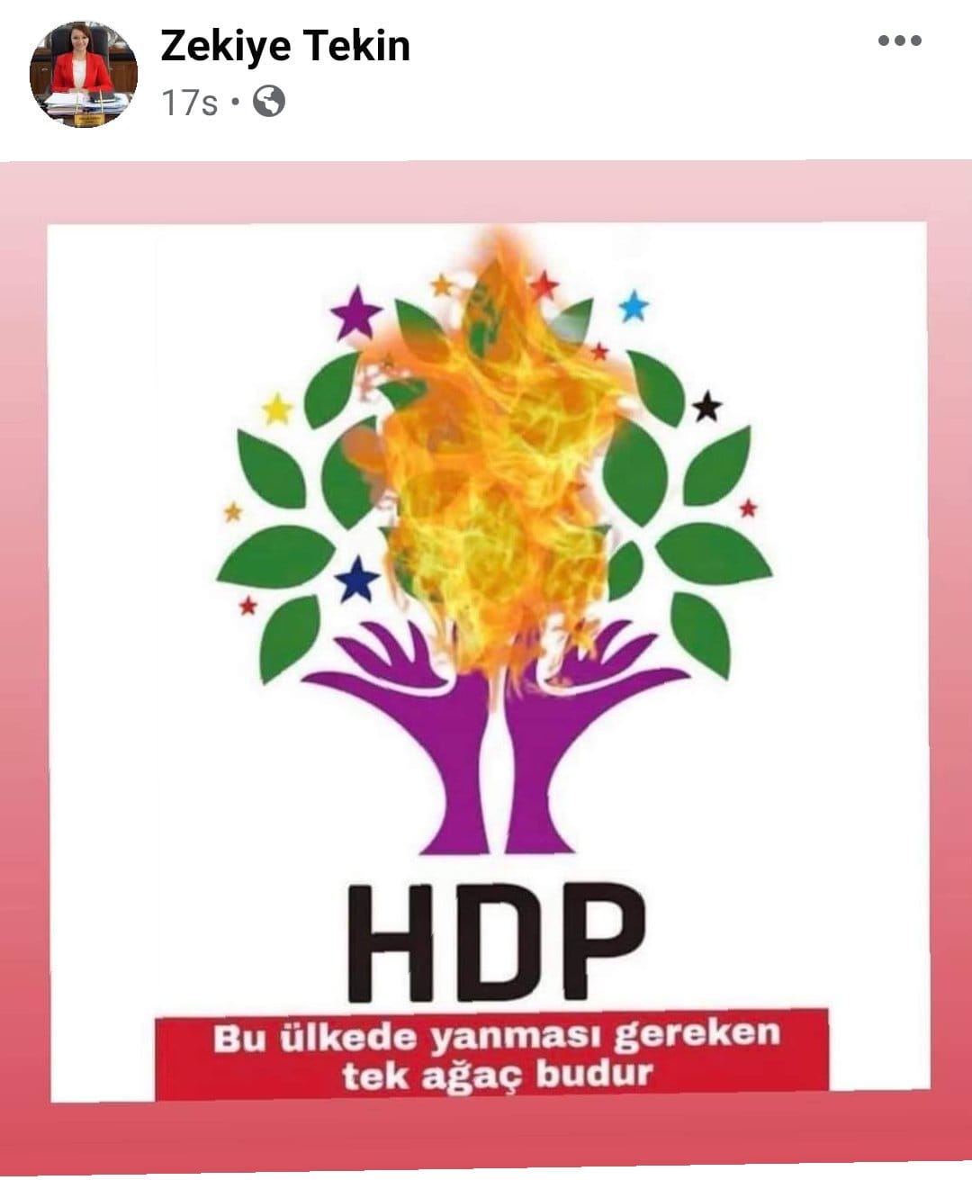 AKP'li Tekin'den provokatif paylaşım