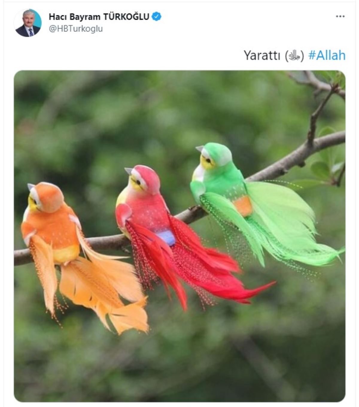 Maket kuşları paylaşan AKP'li Türkoğlu: "Allah yarattı"