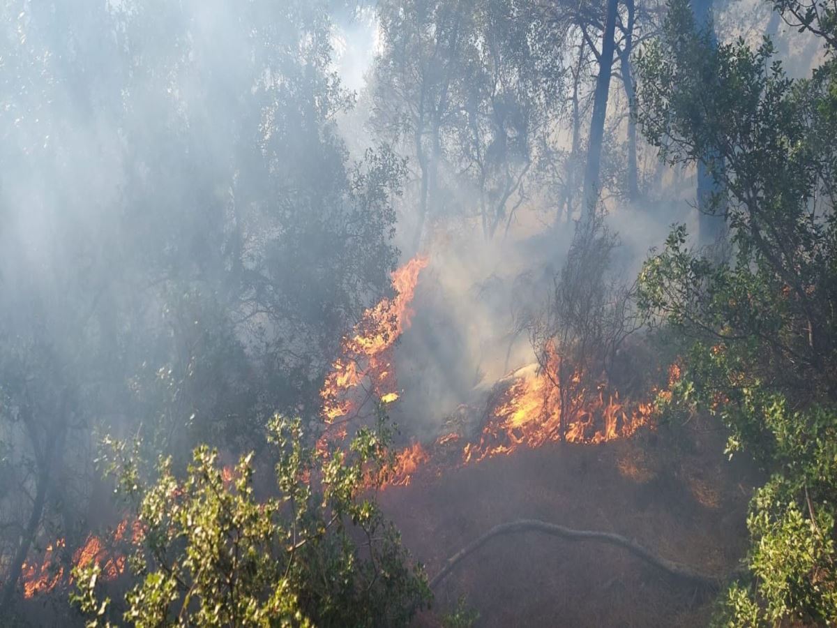 Tavaklı’da 2 haftada 5’inci orman yangını