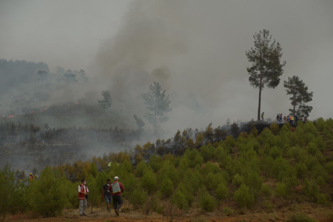 Yangının devam ettiği Köyceğiz'de neler yaşandı? Yangınla mücadeledeki gönüllüler