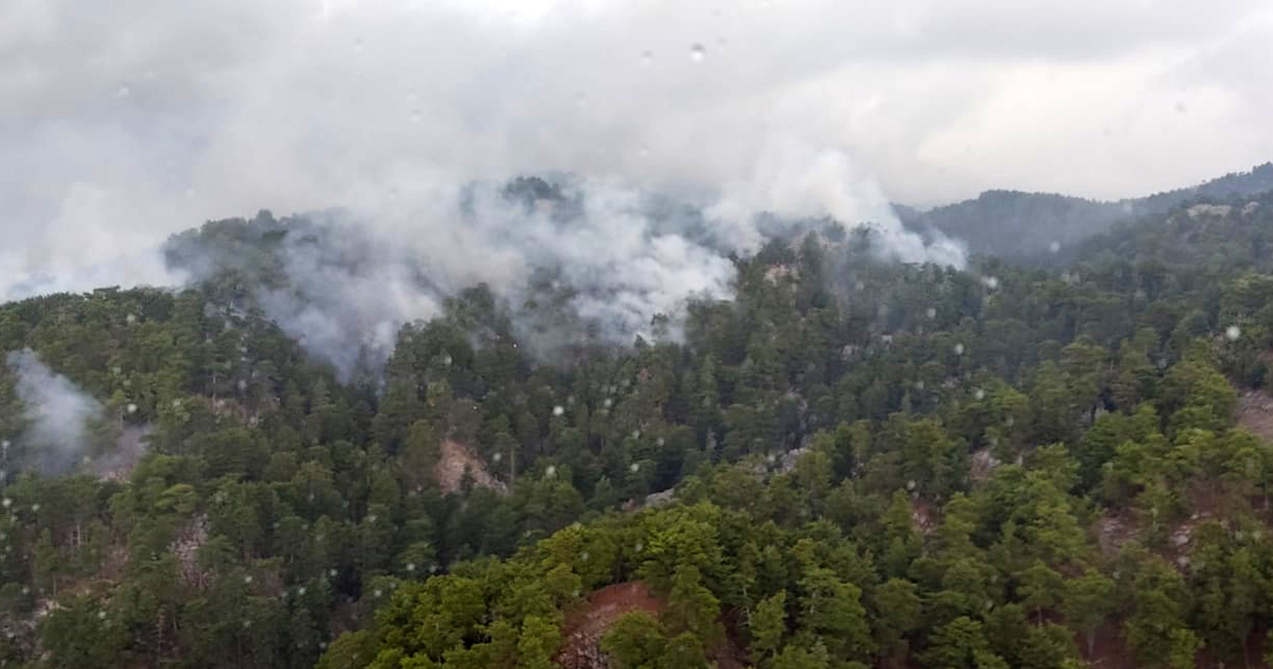 Manavgat'taki yangında 4 hektar orman zarar gördü
