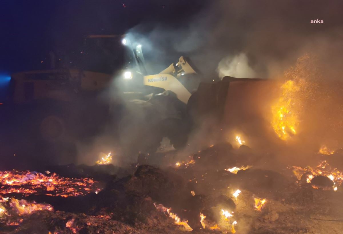 Bodrum Yalıkavak'taki orman yangını söndürüldü, soğutma çalışmalarına geçildi