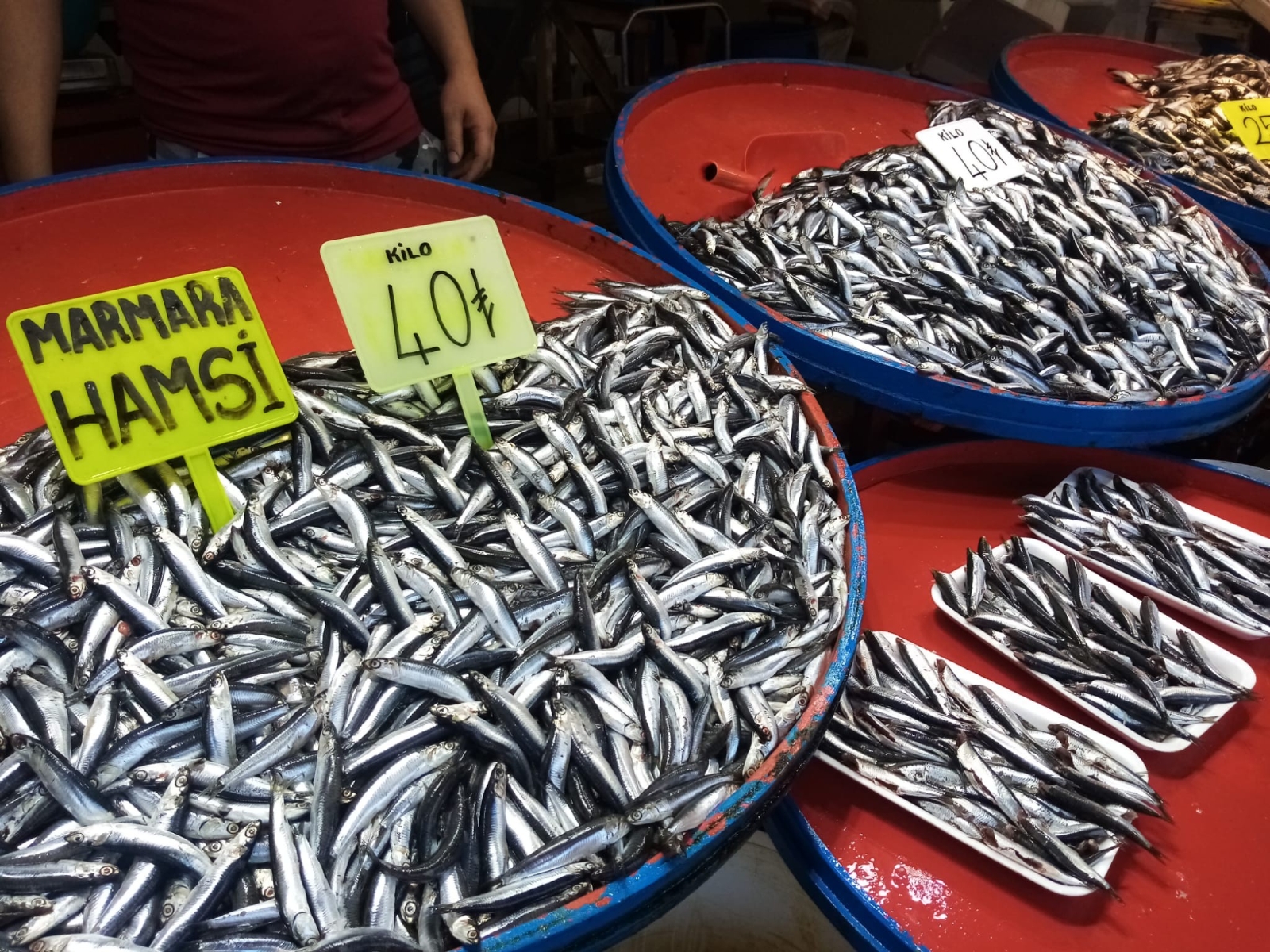 Balık fiyatları el yakıyor: Hamsi 40 liraya dayandı