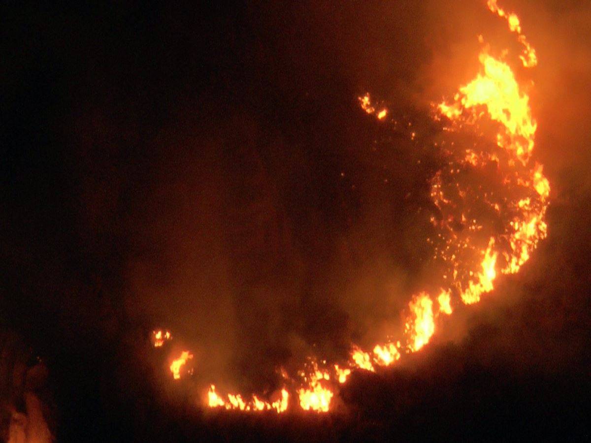 Bodrum'da çıkan yangının kontrol altına alınması için çalışmalar sürüyor
