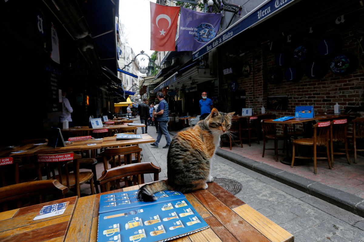 AFP yazdı: Türkler zamların ardından evde alkol üretiyor