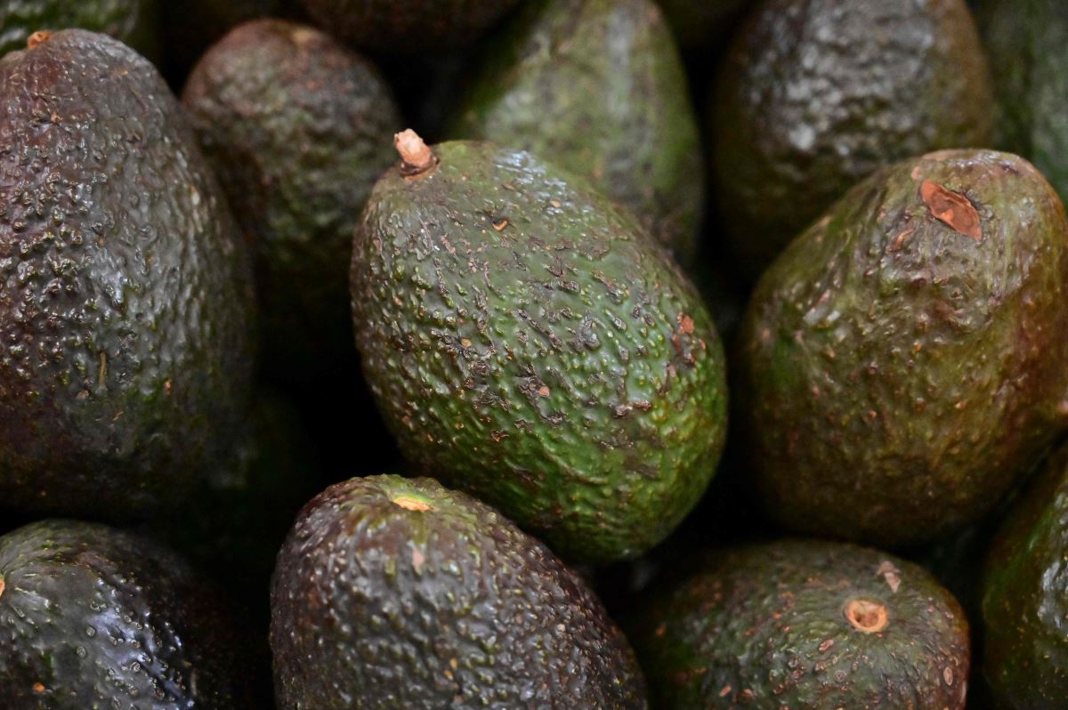 ABD'ye Meksika'dan avokado ithalatı durduruldu