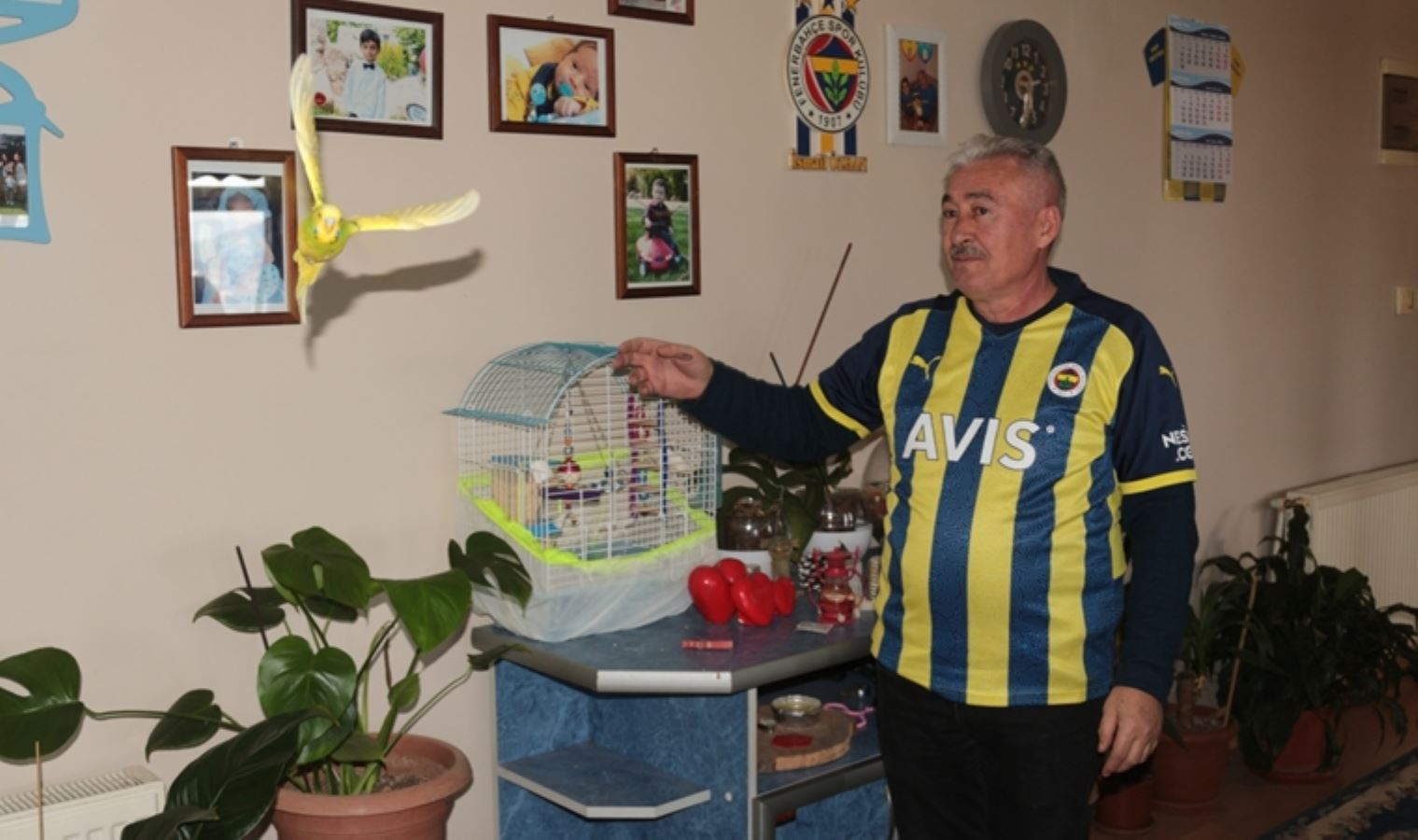 Fanatik Fenerbahçe taraftarı, Ali Koç'a seslendi