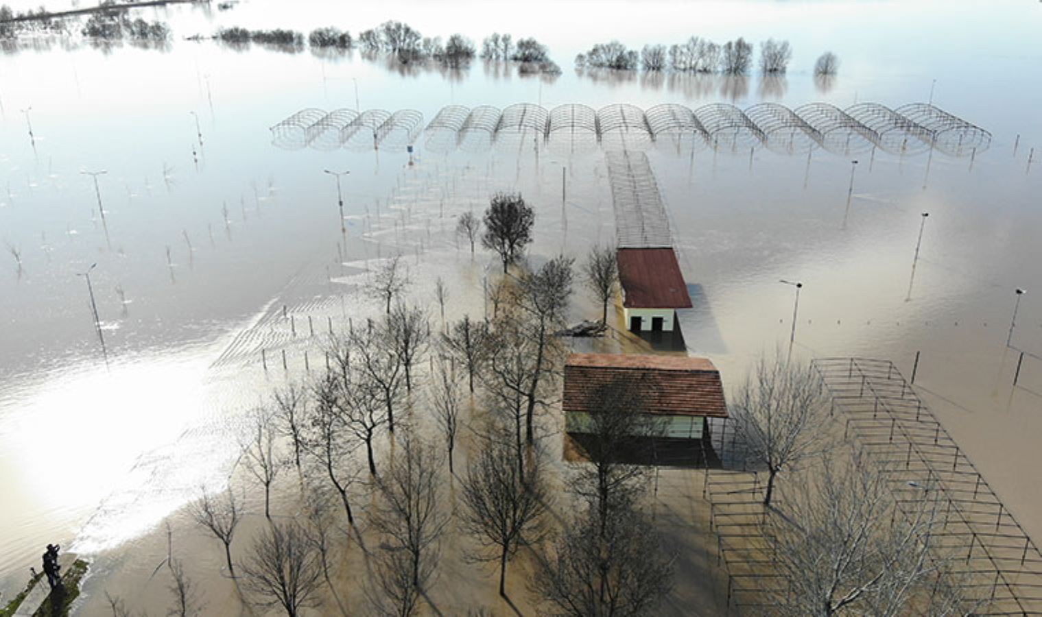 Kırklareli'nde Ergene Nehri taştı, tarım arazileri su altında kaldı