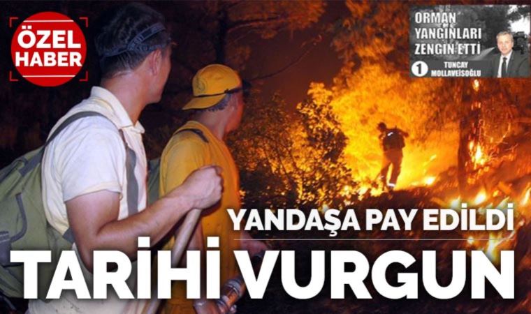 Son üç yılda 210 bin hektar orman alanı kül oldu, iktidar yangını büyük ranta çevirdi