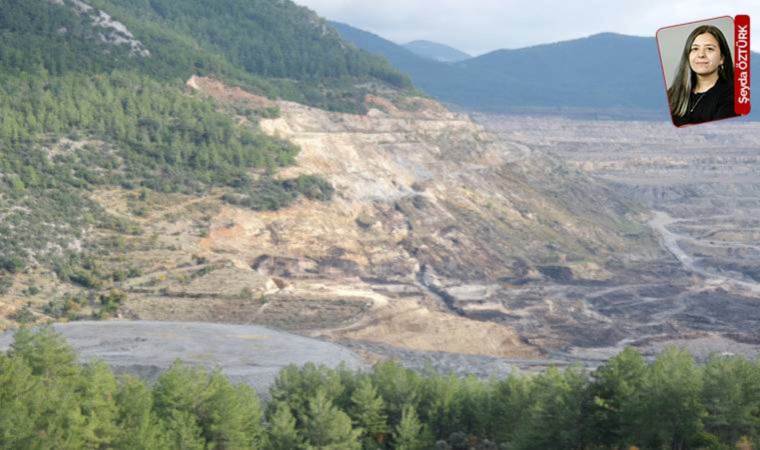 Maden ortasında yaşam: Kömür uğruna katledilen Akbelen Ormanı'nda dinamit sesleri yankılanıyor