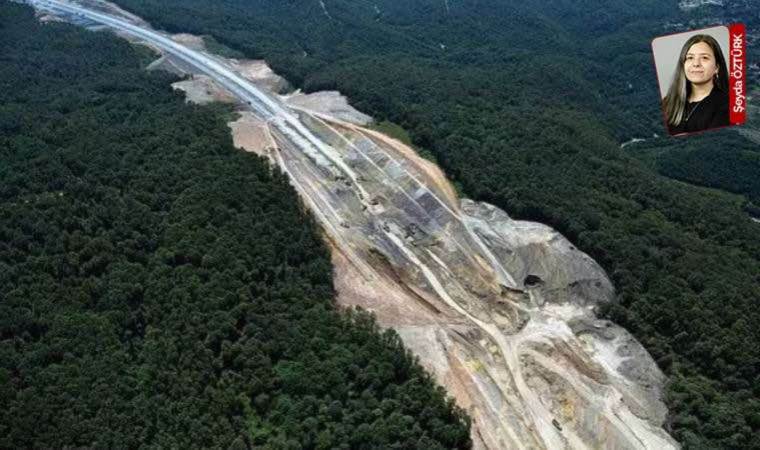 Megakent rant kurbanı: 'Çılgın' projeler ve madencilik Kuzey Ormanları'nı tahrip ediyor