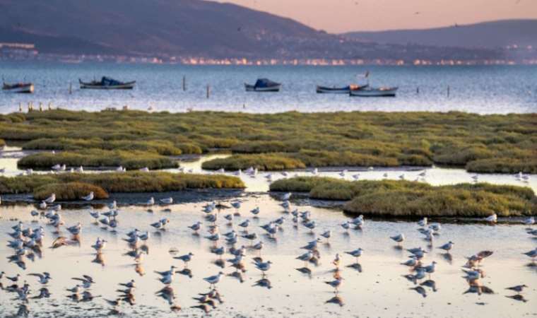 İzmir, Gediz Deltası projesiyle Ufuk Avrupa Programı’nı kazandı
