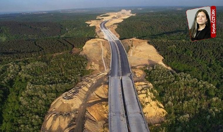 Çevre talanı tam gaz: 120 kilometre planlanan Gebze-Çatalca demiryolu Kuzey Ormanları'ndan geçecek