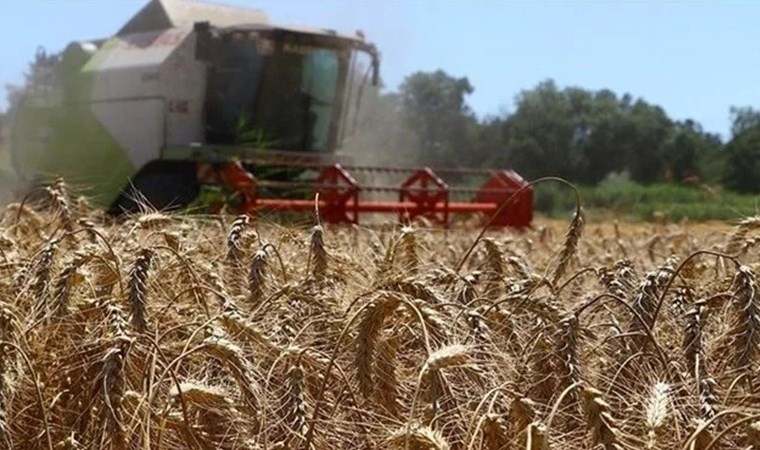 TÜİK açıkladı: Tarımda üretici enflasyonu  yüzde 61,87 oldu