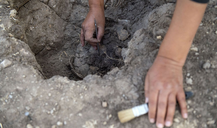 <p>Tunceli'nin Pertek ilçesinde, birinci derece arkeolojik sit alanı olarak tescillenen Tozkoparan Höyüğü'nde devam eden kurtarma kazılarında bulunan çocuk iskeleti müzede korumaya alındı.</p>