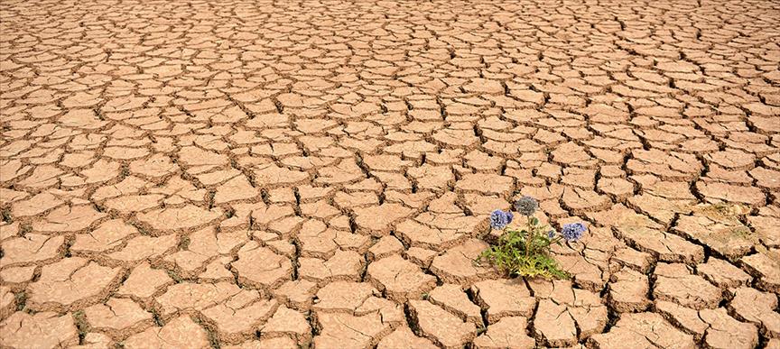 <p>Birleşmiş Milletler (BM) bünyesindeki Hükümetler Arası İklim Değişikliği Paneli’nin (IPCC) hazırladığı altıncı raporda da Kuzey Kutup Dairesi’ndeki ısınmanın dünyanın geri kalan yerlerine göre iki kat daha hızlı ilerlediği belirtilirken en iyimser senaryo doğrultusunda bile 2050’ye kadar bölgedeki buzulların tamamının eriyebileceğine dikkat çekildi.</p>