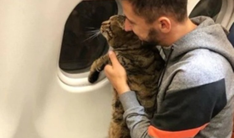 Tombul kedi uçağa alınmayınca sahibi başka kediyi tarttırdı