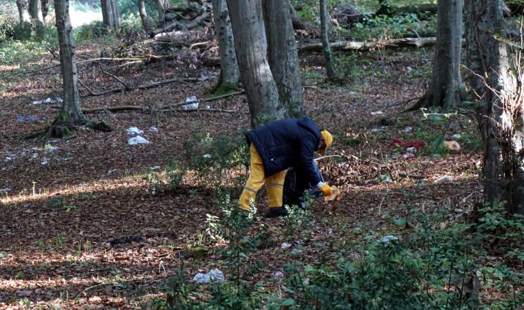 Belgrad Ormanı'nda piknik alanlarında 22, orman derinliklerinde 9 ton çöp toplandı