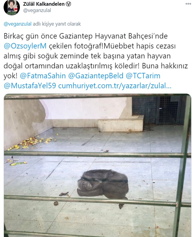 Gaziantep Büyükşehir Belediyesi’ne kınama ve uyarı ihtarı - Resim : 1