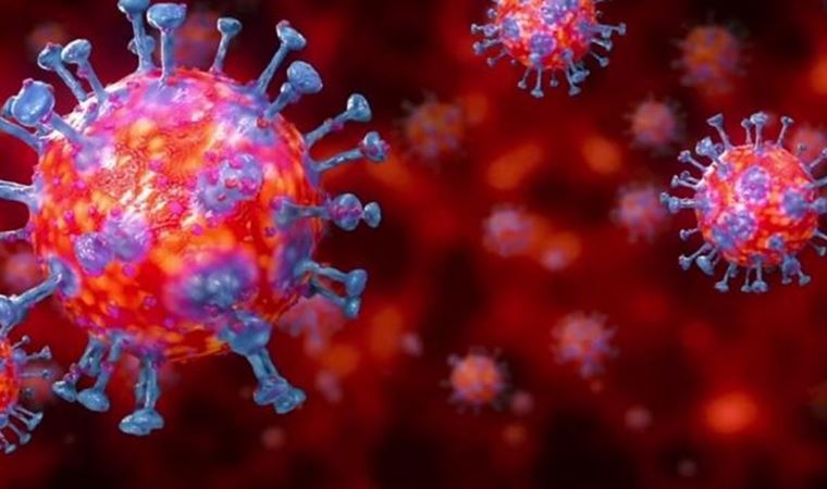 Geçmeyen koronavirüsün sebebi ortaya çıktı