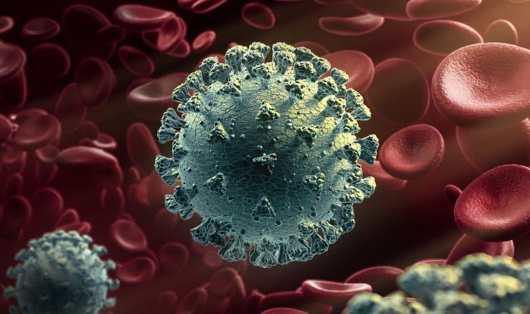 Üç yeni koronavirüs mutasyonu arasında ne fark var?