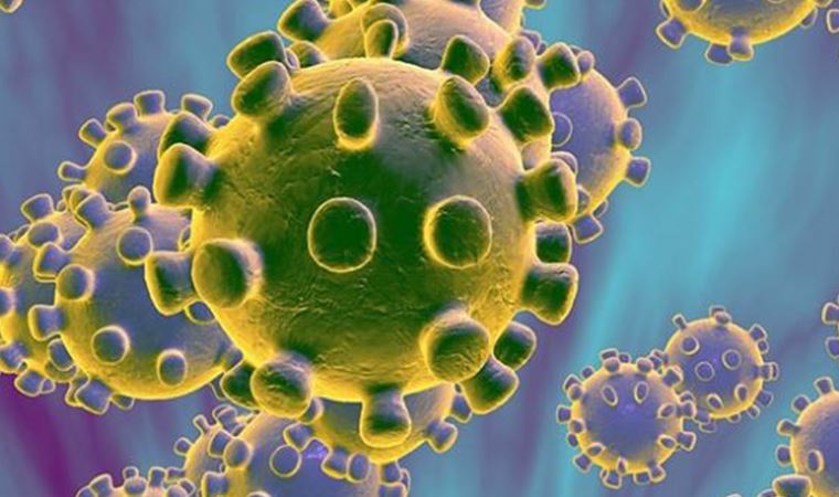 Türk Tabipleri Birliği koronavirüsten korunmak için 7 madde yayınladı