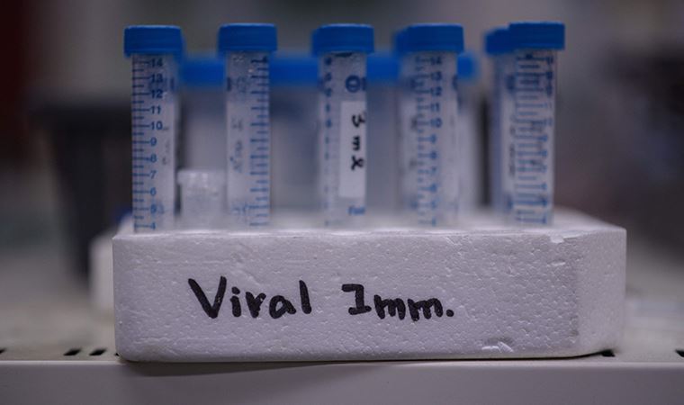 Küba'da ilk koronavirüs vakaları tespit edildi