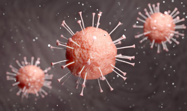 Türkiye’den Tayvan’a giden 10 kişide koronavirüs tespit edildi