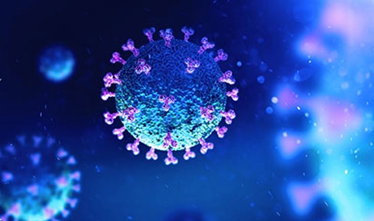 Koronavirüs bir milyondan fazla habere konu oldu