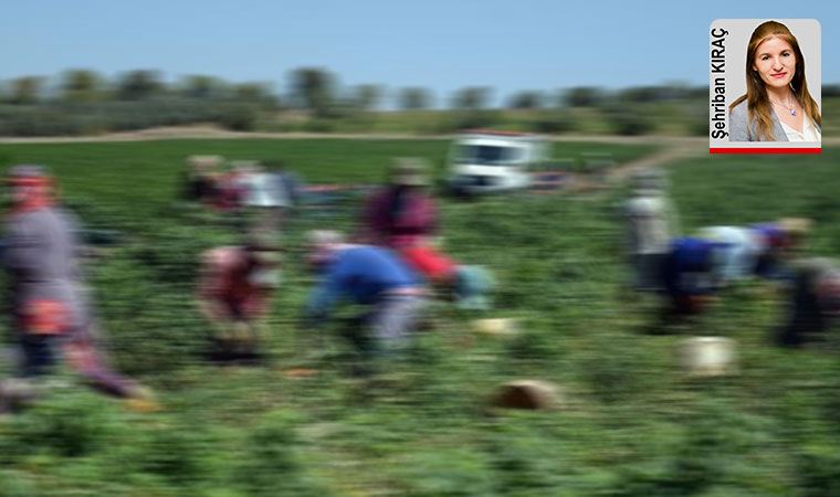 İcra takibi, zamlar ve koronavirüsün gölgesinde Çiftçiler Günü