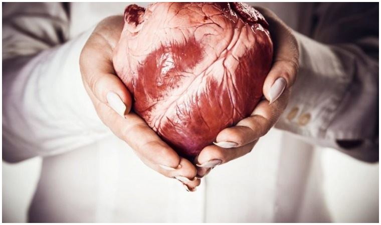 İngiliz Kalp Vakfı: Koronavirüs kalbe ciddi hasar veriyor