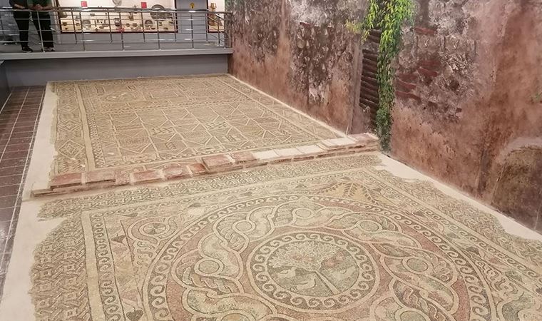 1800 yıllık elma mozaiği sergileniyor