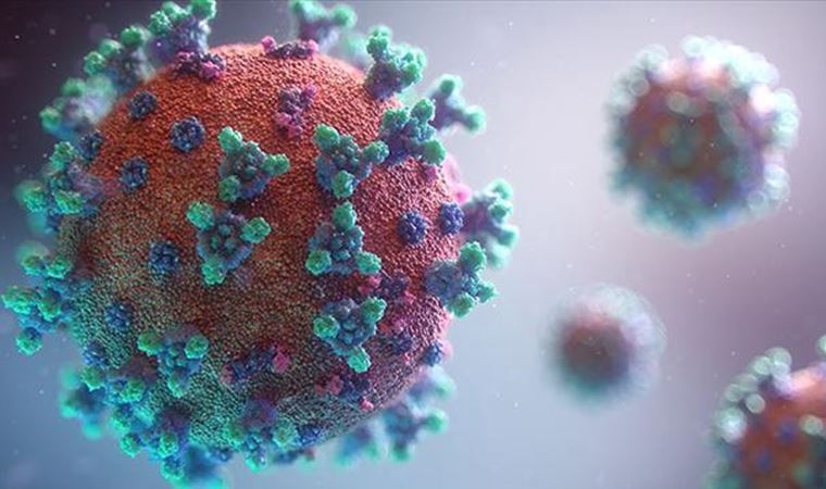 Mutasyonlu koronavirüs hastalarının sağlık durumlarına ilişkin açıklama