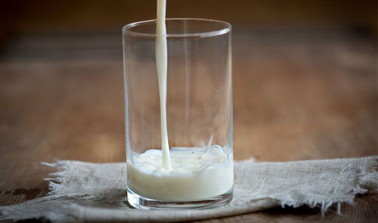 İnsanların süt tüketimi ne kadar eskiye dayanıyor?