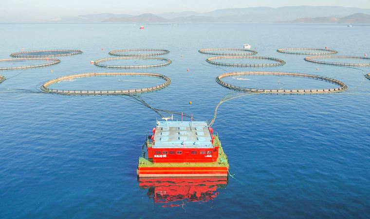 Kılıç Deniz, Didim'de OSB ve  ‘Kültür Balıkçılığı Tesisi’ kuracağı iddialarını yalanladı