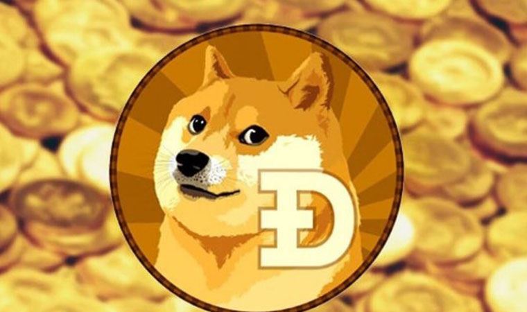 Image result for dogecoin