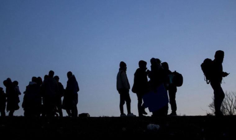 Bitlis'te jandarmanın durdurduğu araçta 29 göçmen yakalandı