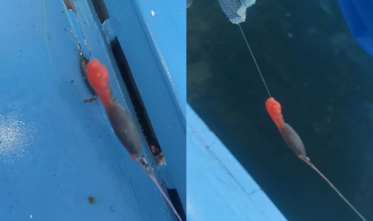 Pendik’te balıkçıların oltasına takılan yapışkan madde tedirgin etti