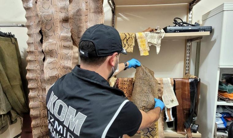İzmir'de çanta yapımında kullanılması planlanan yılanlara ait deriler ele geçirildi