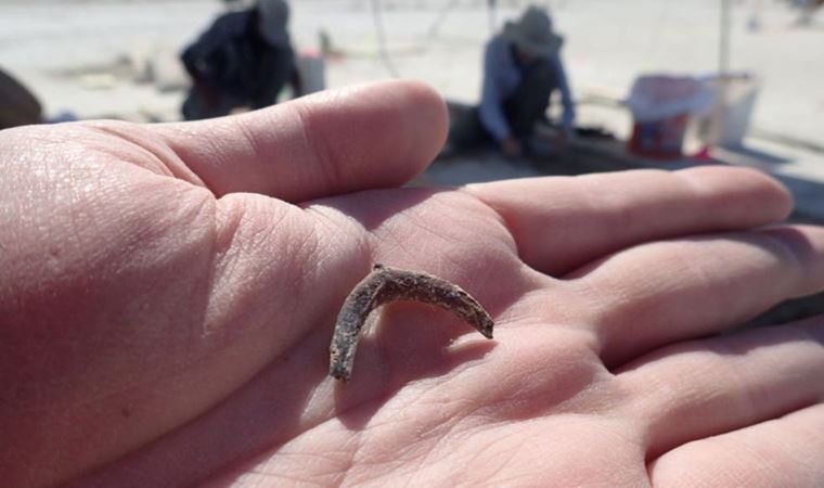 Tuz Gölü'nden 12 bin yıllık kalıntı çıktı