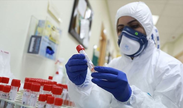 WHO, koronavirüsün kökenini tespit etmek için yeni bir uzman heyet oluşturdu