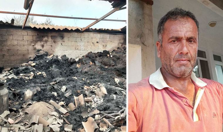 Manavgat yangınında ahırları ve ağaçları yanan çiftçi: "Devletten beş kuruş destek alamadım"