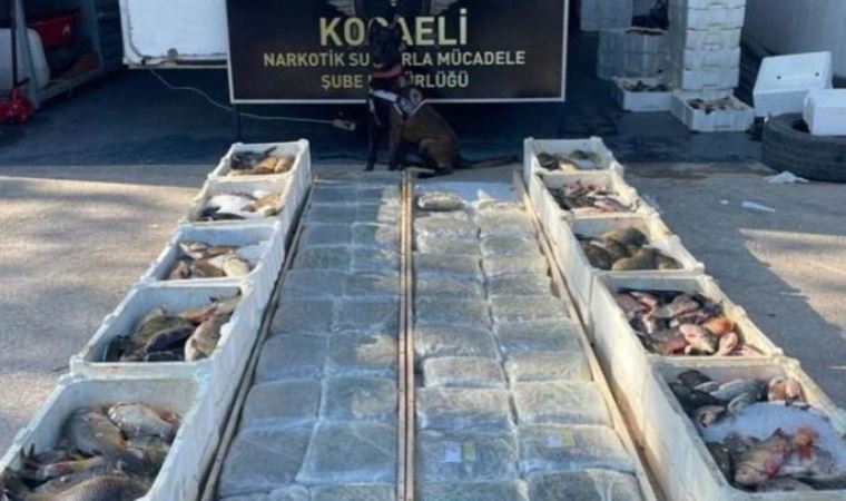 Balık yüklü kamyonetin tabanında 53 kilo uyuşturucu ele geçirildi